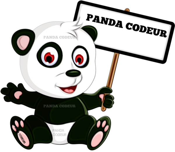 Panda codeur2